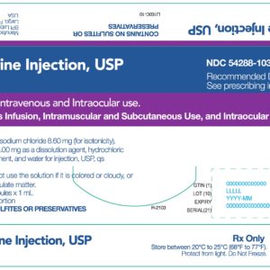 EPINEPHRINE BPI LABS AMPULE BOX NDC 54288010310